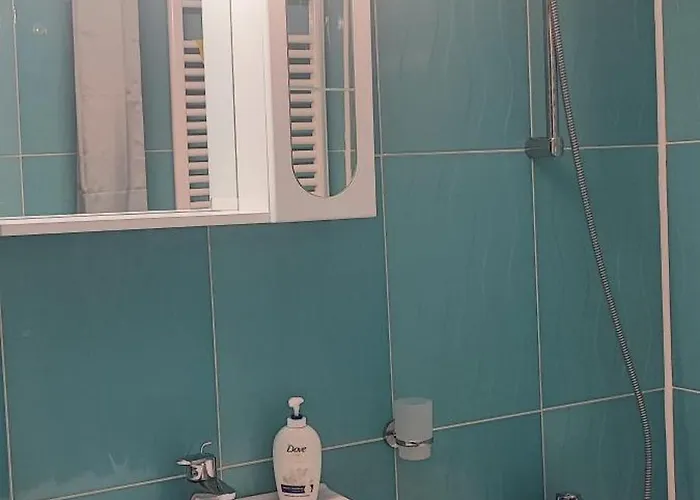 Studio Constanta Apartment *